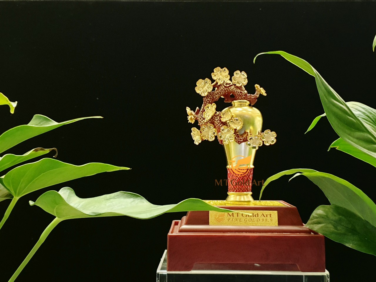 Chậu hoa mai vàng ngày Tết và ý nghĩa của hoa mai trong văn hóa