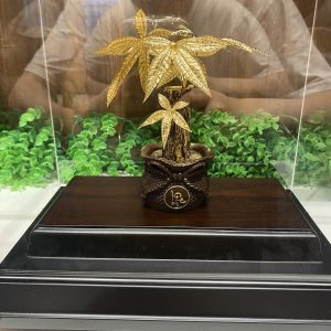 quà tặng cao cấp