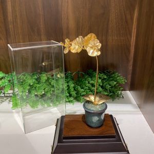 Chậu lan 1 cành dát vàng 24k