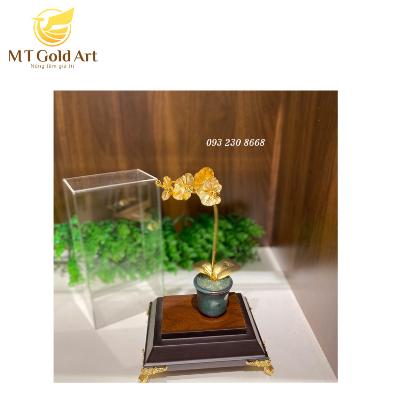 chậu hoa lan mạ vàng - quà mừng sinh nhật cao cấp